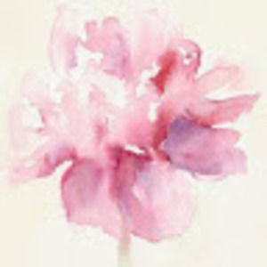 Meet your Posher, Maxwell